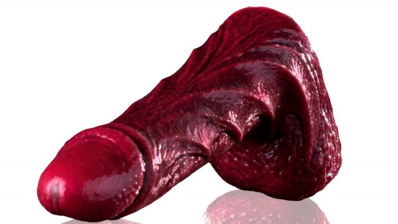 Fleshlight Drac Freaks Dildo | ISRAEL PA1907845