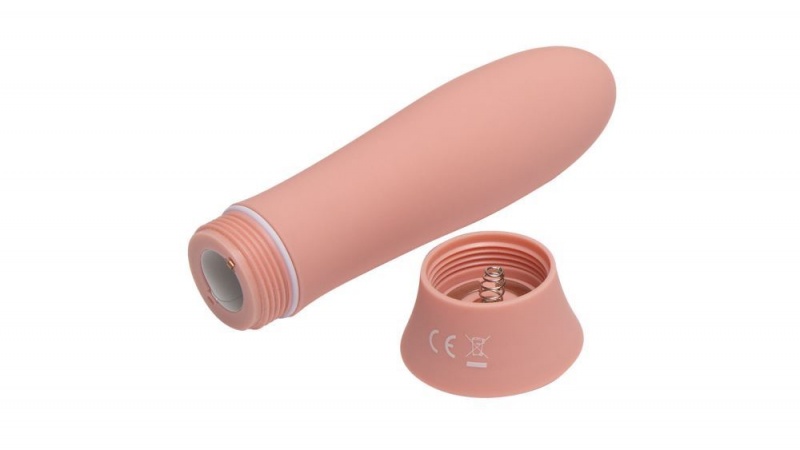 Fleshlight Poppy Bloom Bullet Vibrators | ISRAEL YF6270158